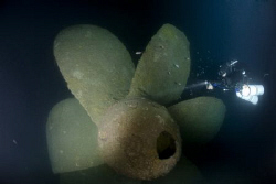 another one from wreck Haven- propeller at 80 m by Miro Polensek 